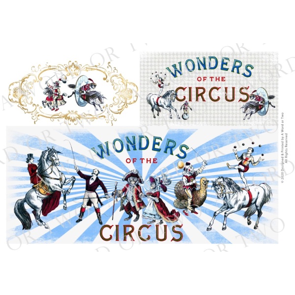 /waterslides/KS-WS142