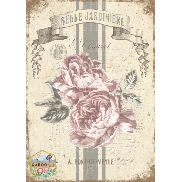 /waterslides/KS-WS151