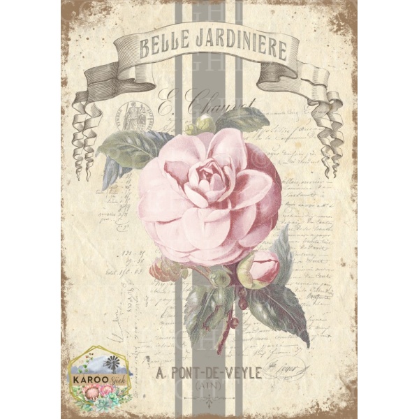 /waterslides/KS-WS152