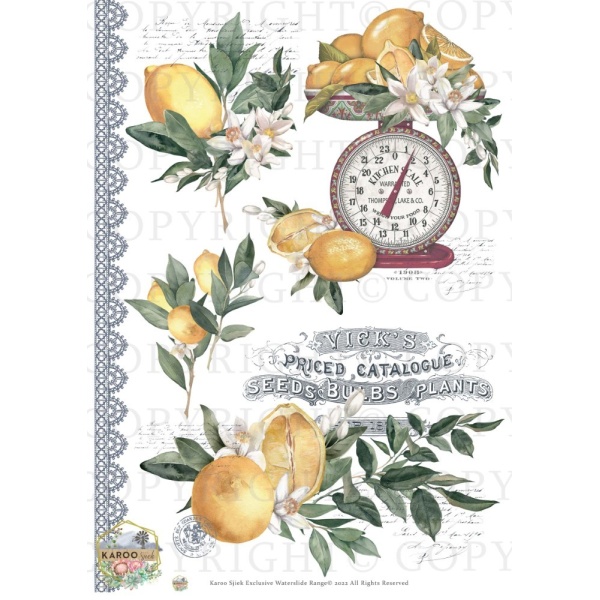 /waterslides/KS-WS160