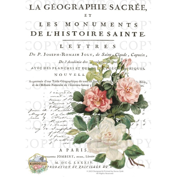 /waterslides/KS-WS163