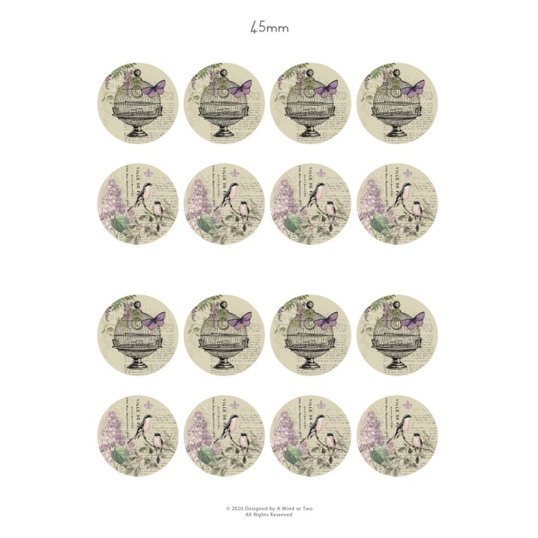 /waterslides/KS-WS173