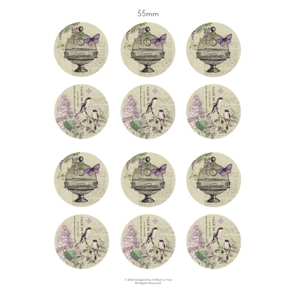 /waterslides/KS-WS174