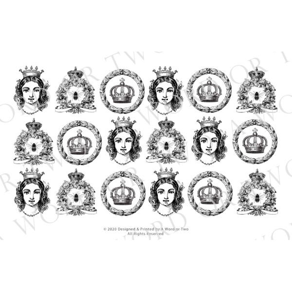 /waterslides/KS-WS176