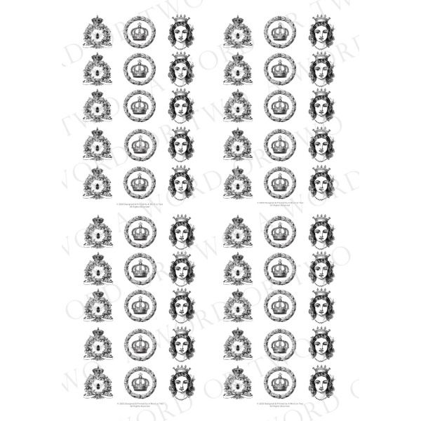 /waterslides/KS-WS177