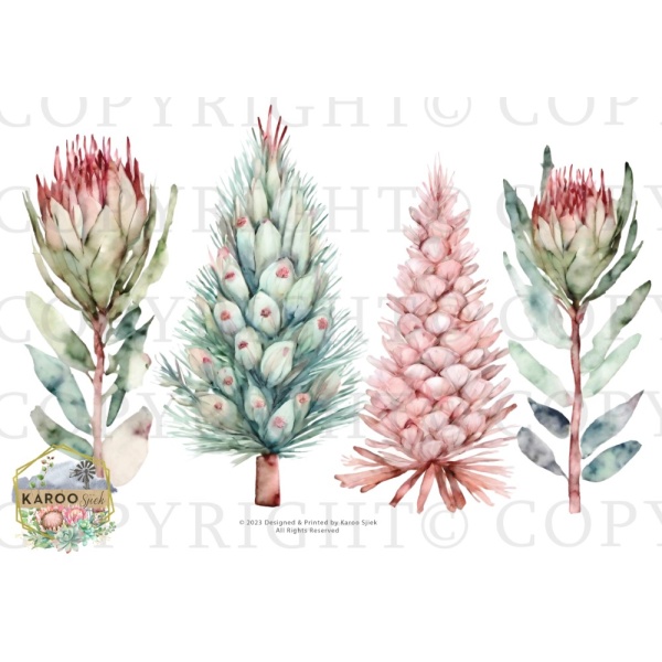 /waterslides/KS-WS181