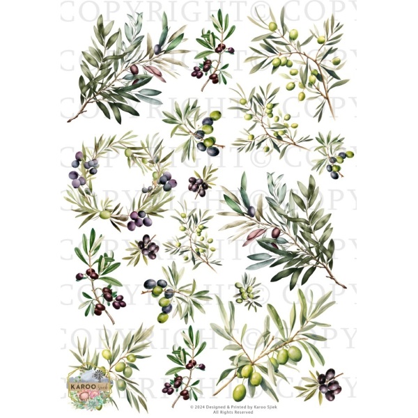 /waterslides/KS-WS194