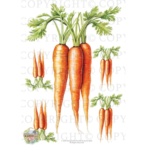 /waterslides/KS-WS195