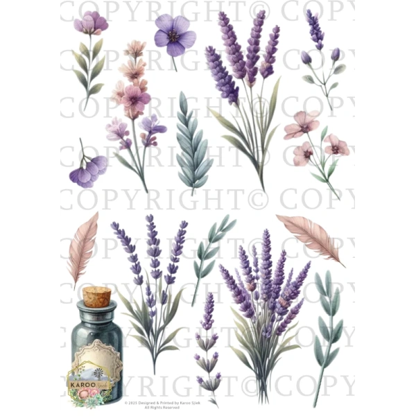 /waterslides/KS-WS205