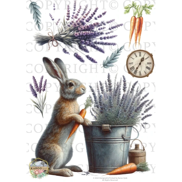 /waterslides/KS-WS207